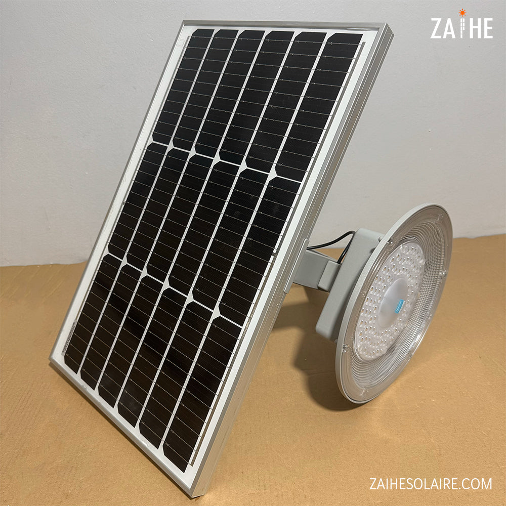 Lampe Solaire de Jardin SLG-500W